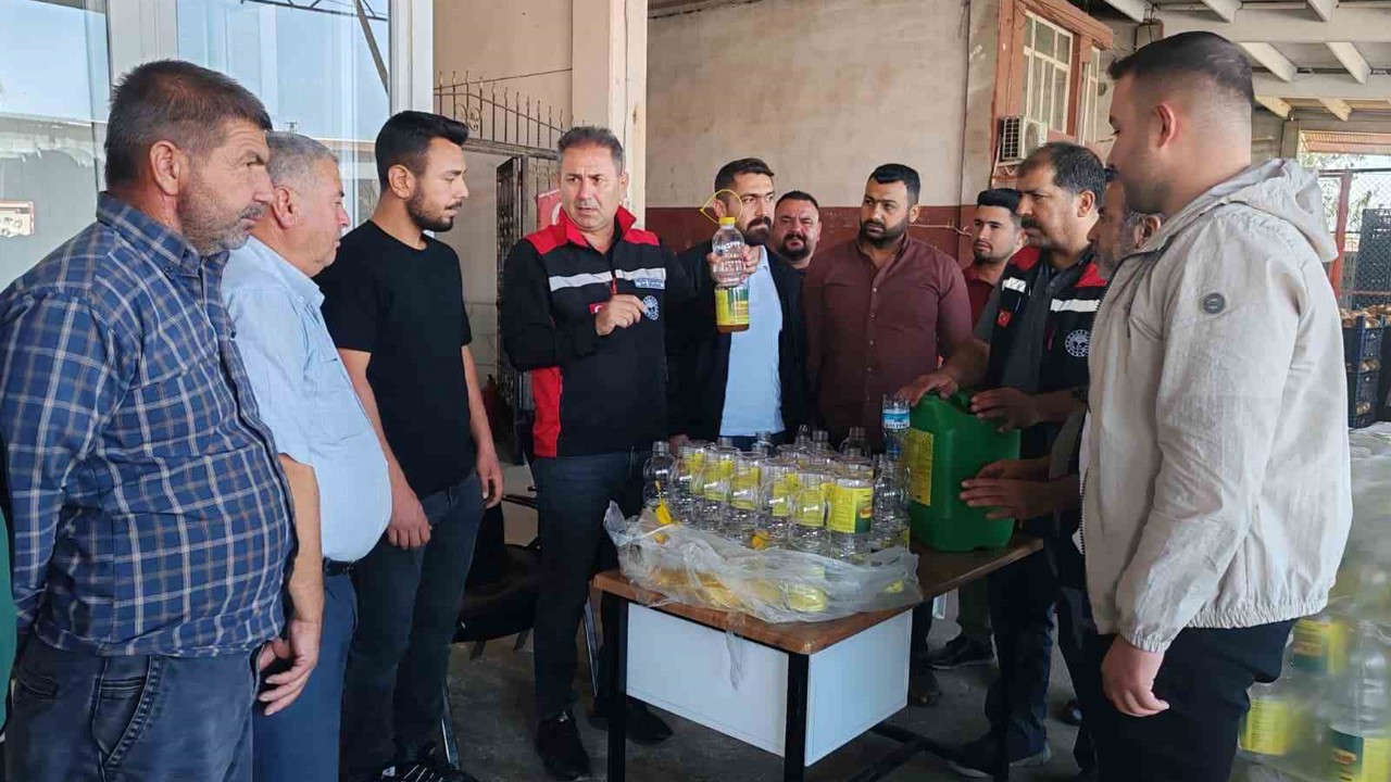 Akdeniz meyve sineği ile mücadele sürüyor
