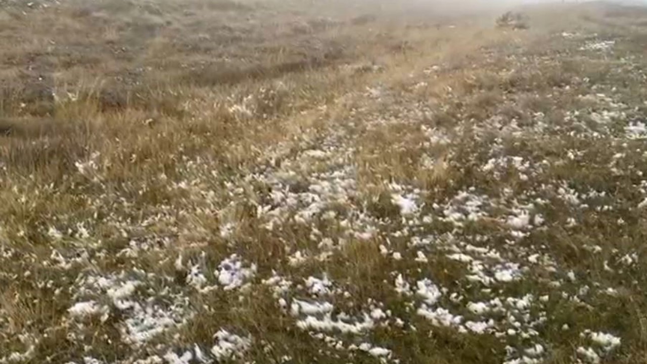 Ardahan’ın yüksek kesimlerinde kar yağışı etkili oldu
