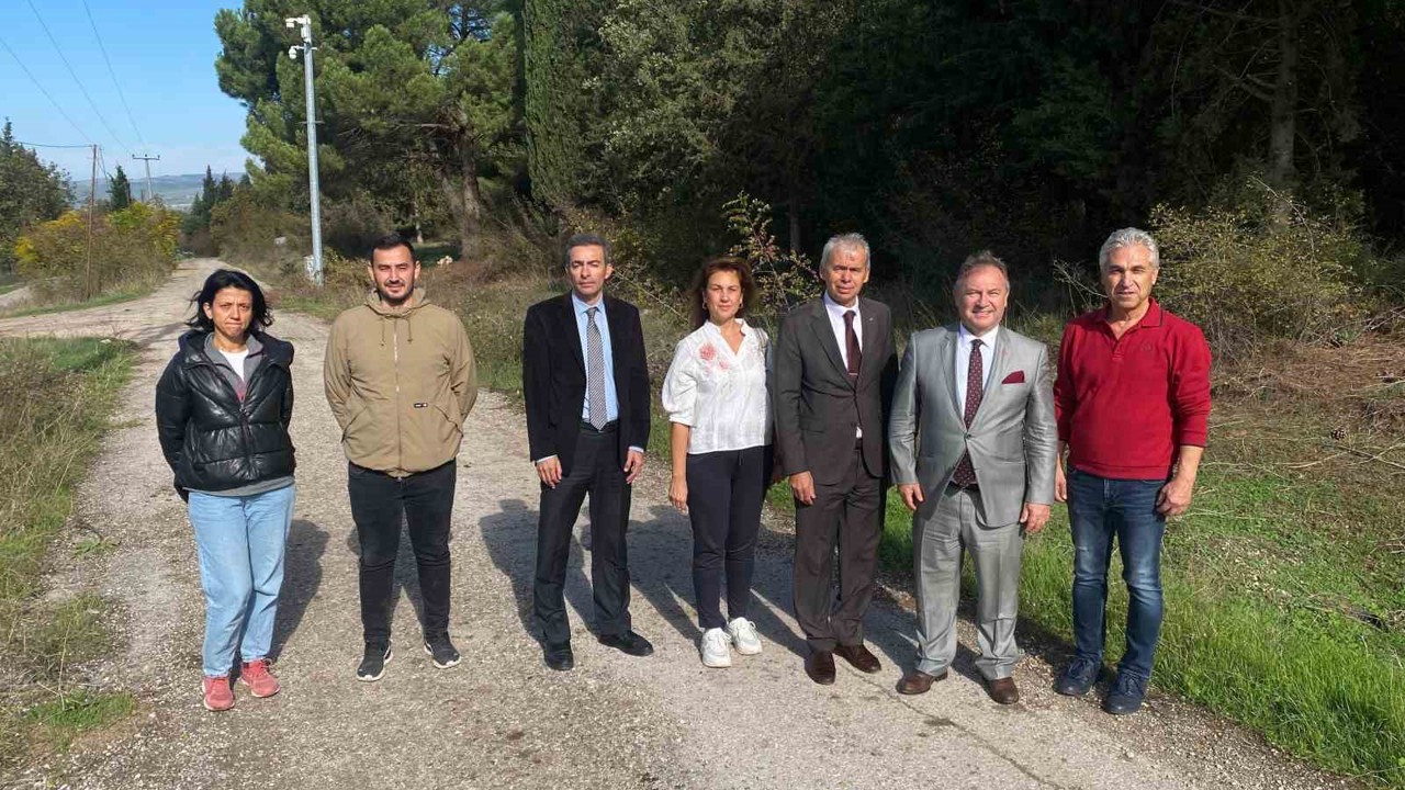 Bursa tarımına akademik bakış
