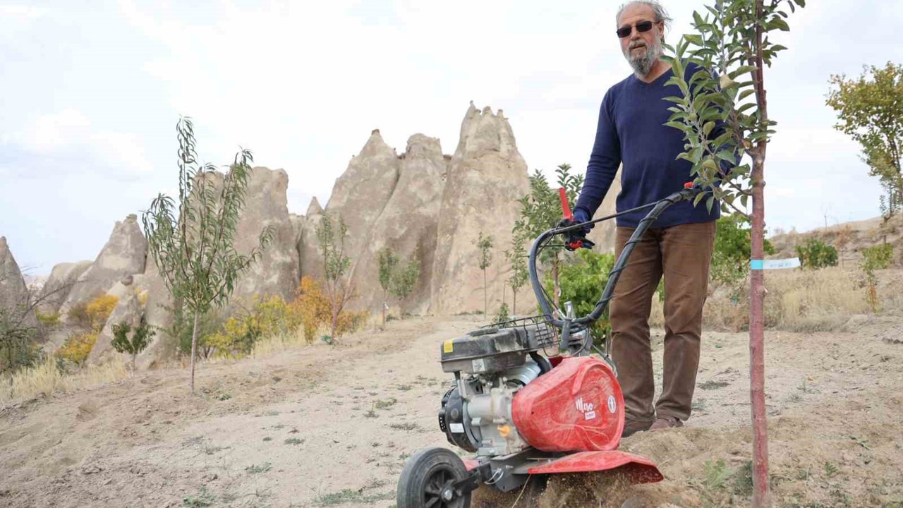 Peribacalarını ağaçlarla güzelleştiriyorlar

