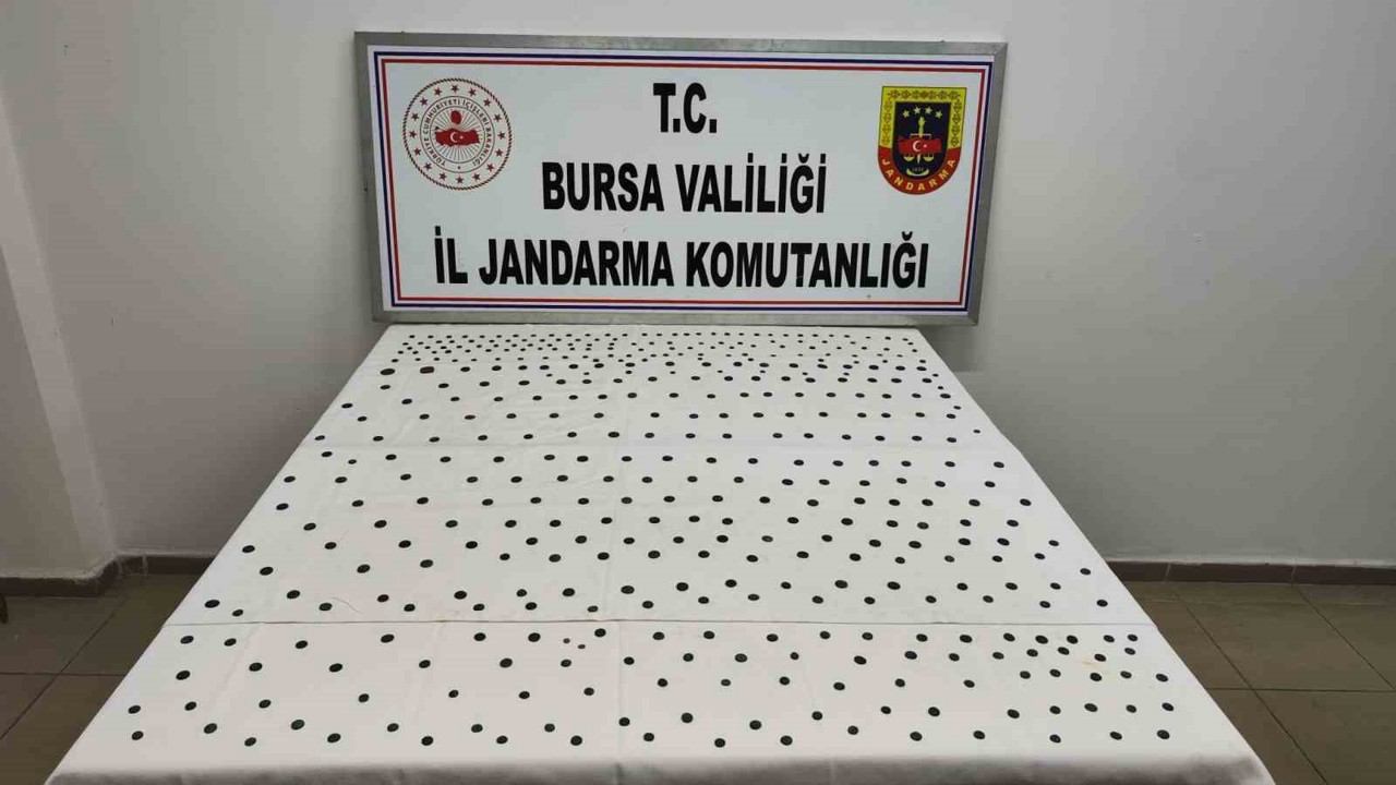 Jandarma’dan İznik’te tarihi operasyon
