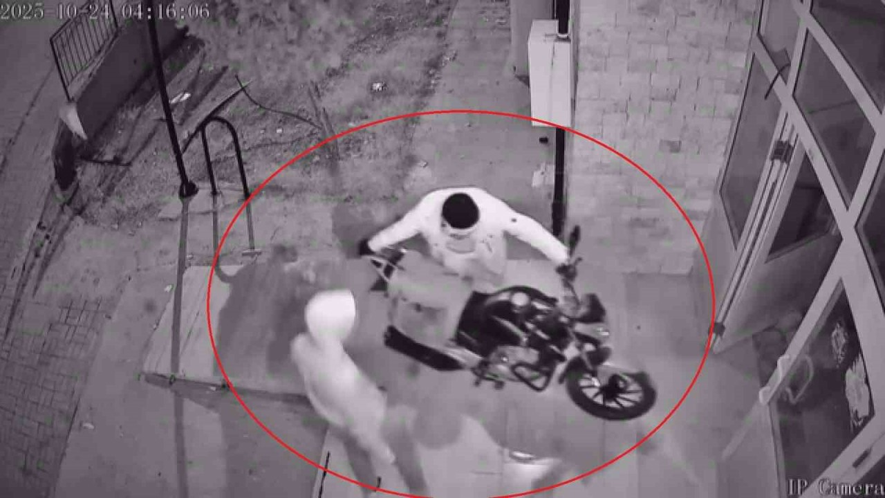 Güvenlik kamerasına yakalanan hırsızlar, çaldıkları motosiklete kendi malları gibi binip gittiler
