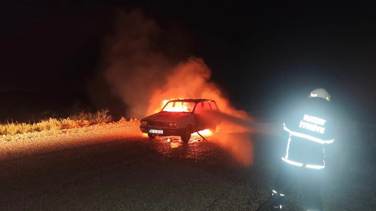 Otomobil alevlere teslim oldu
