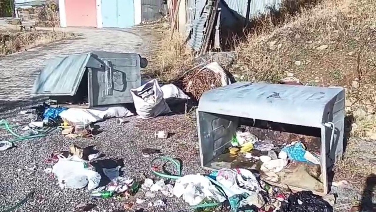Boz ayılar Yedigölleri savaş alanına çevirdi
