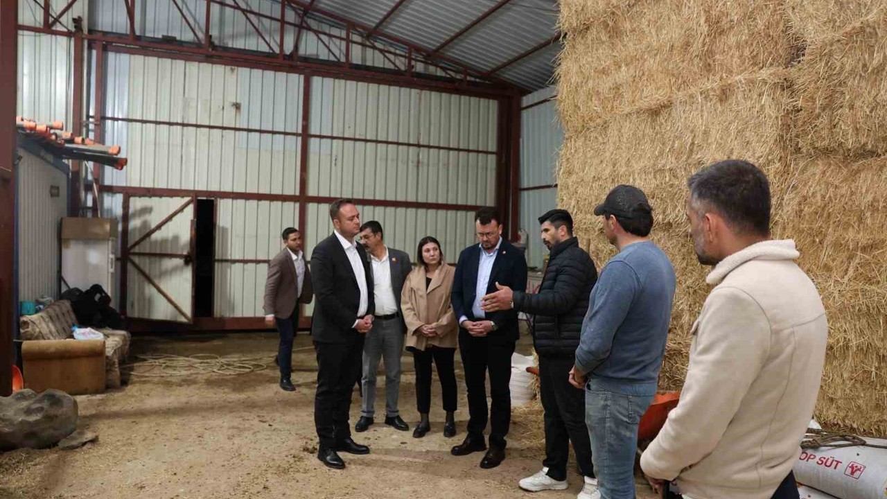 Başkan Dere, şap hastalığından mağdur olan aileleri yalnız bırakmadı
