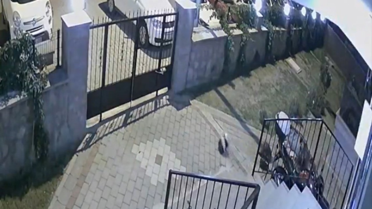 Tuğba Yavaş’ın şüpheli ölümüyle ilgili davada psikiyatri doktoru: "İntihar eğilimi gözlemlemedik"
