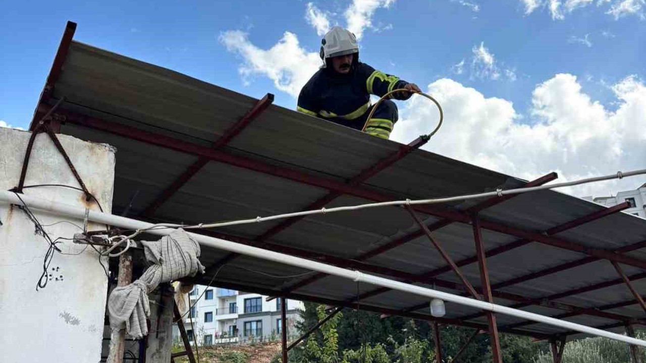 Hatay’da eve giren 2 yılanı itfaiye yakaladı
