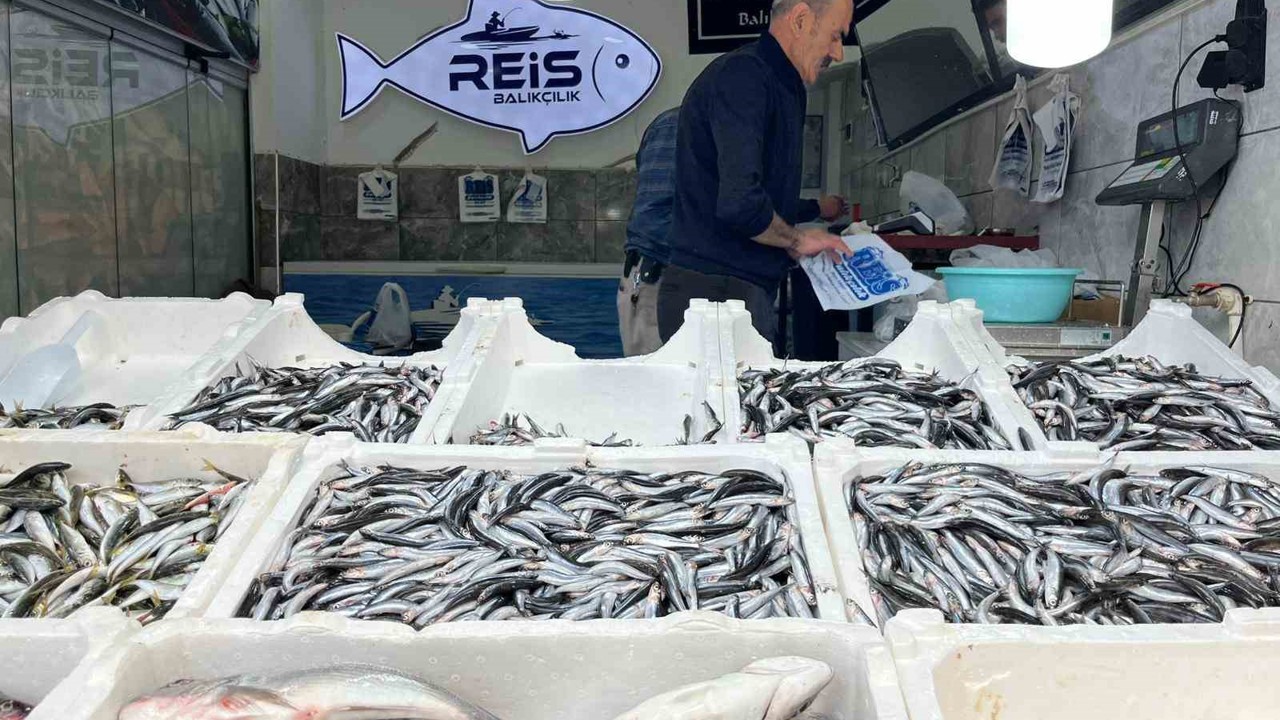 Bayburt’ta balıklar tezgâhlarda yerini aldı
