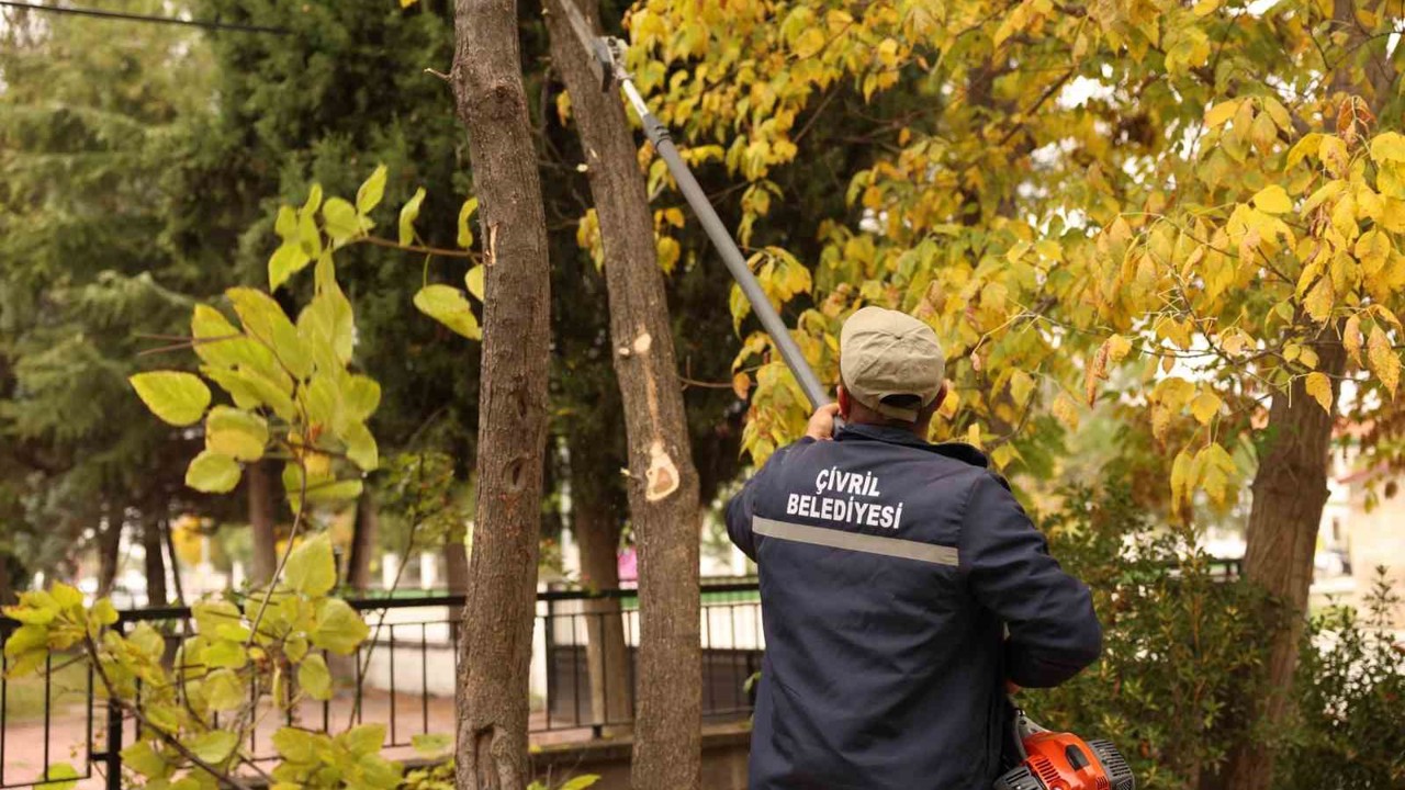 Çivril Belediyesi budamayla hem tehlikeyi önlüyor hem de ağaçların ömrünü uzatıyor
