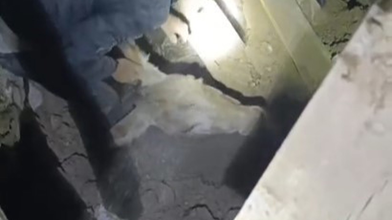 Sındırgı’da enkaz altında kalan eşek canlı kurtarıldı

