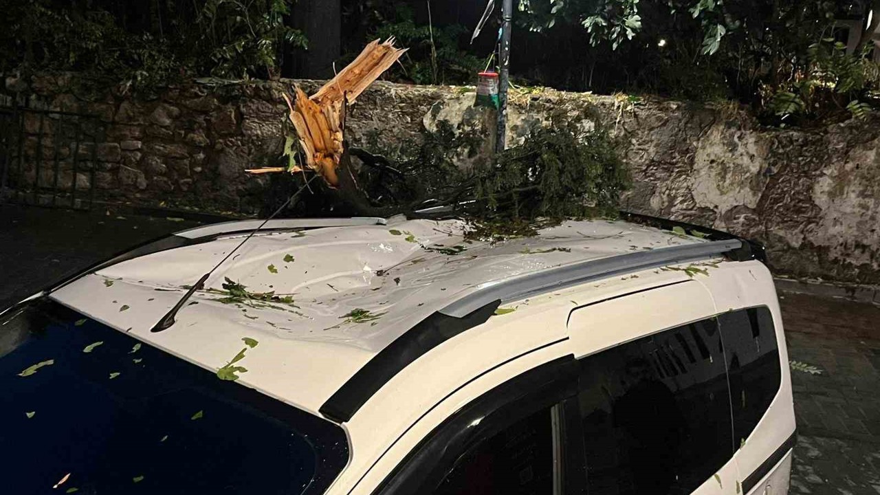Fırtınanın devirdiği ağaç park halindeki aracın üzerine düştü
