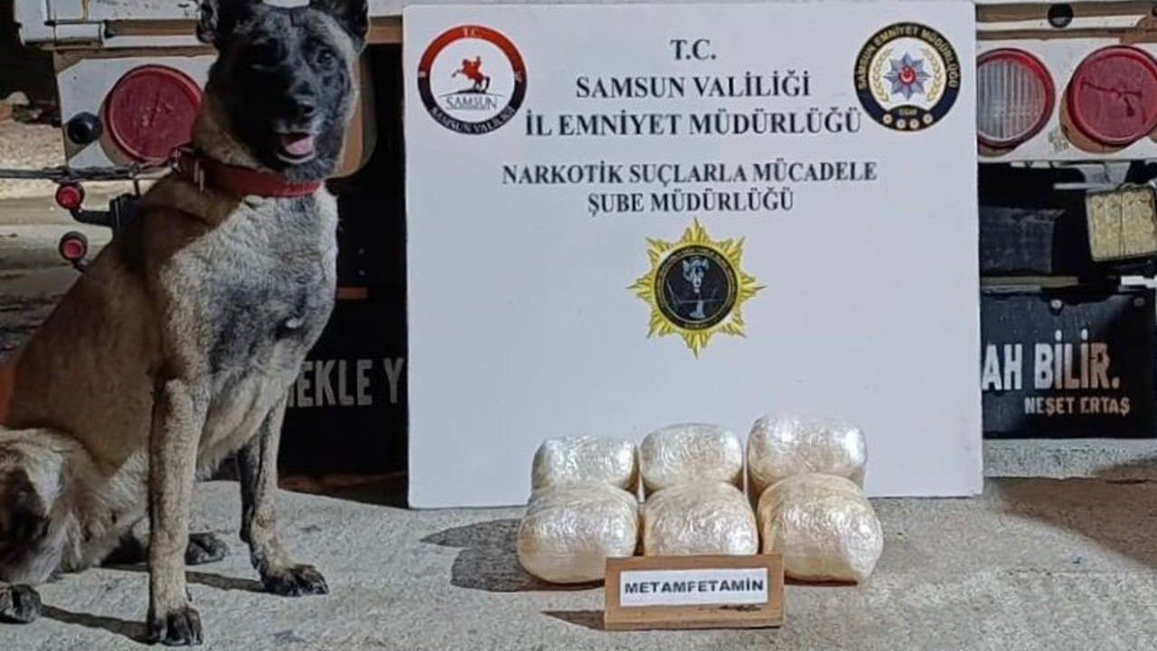 Kamyonete gizlenmiş uyuşturucuyu dedektör köpeği buldu: 4 kilo uyuşturucu ve 4 bin adet hap ele geçti
