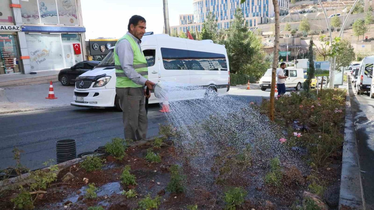 Mardin Büyükşehir Belediyesi Artuklu’da alt ve üst yapı çalışmalarını sürdürüyor

