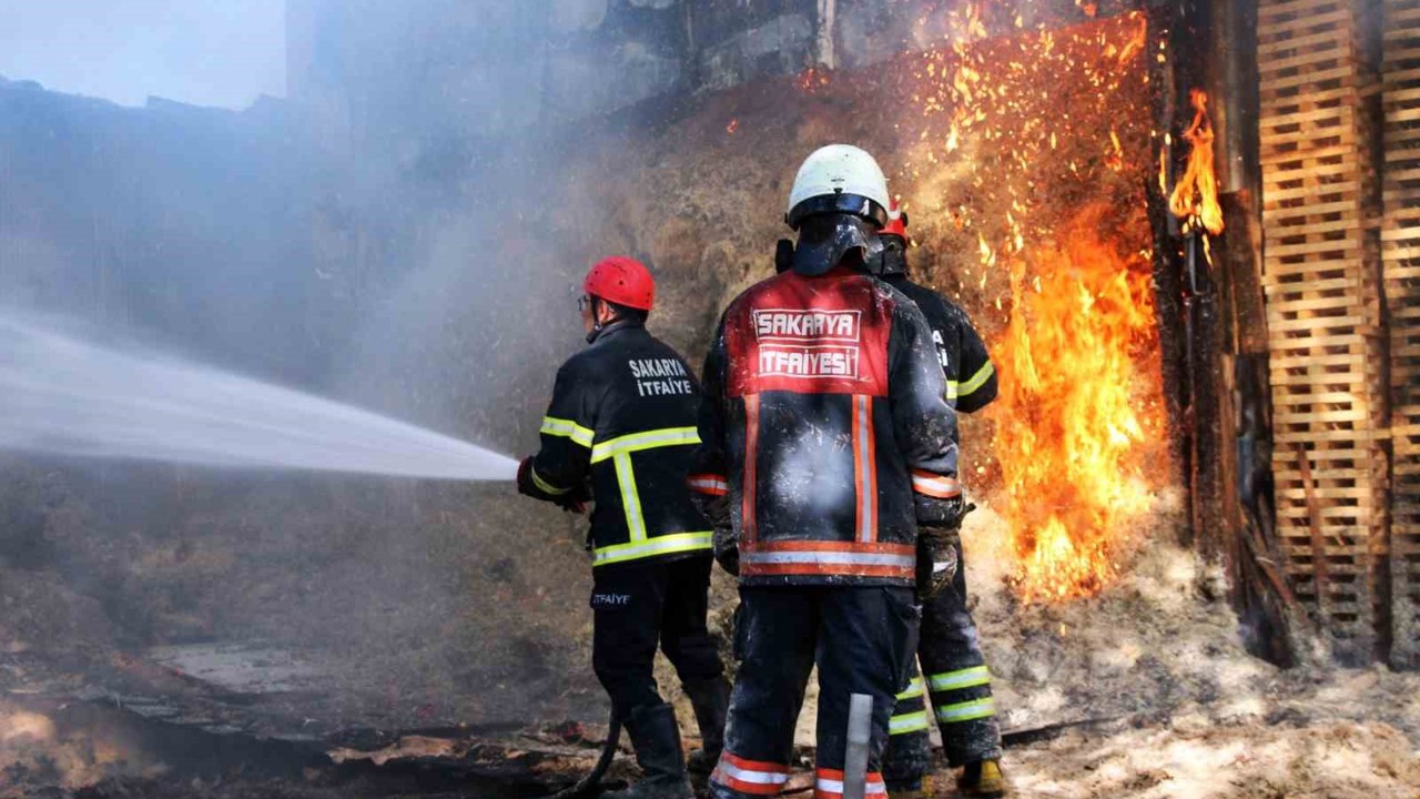 Sakarya’da ahşap atölyesinde korkutan yangın
