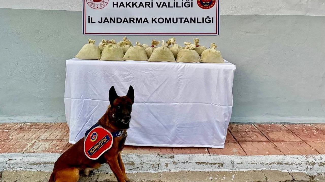 Hakkari’de 15 kilogram esrar ele geçirildi
