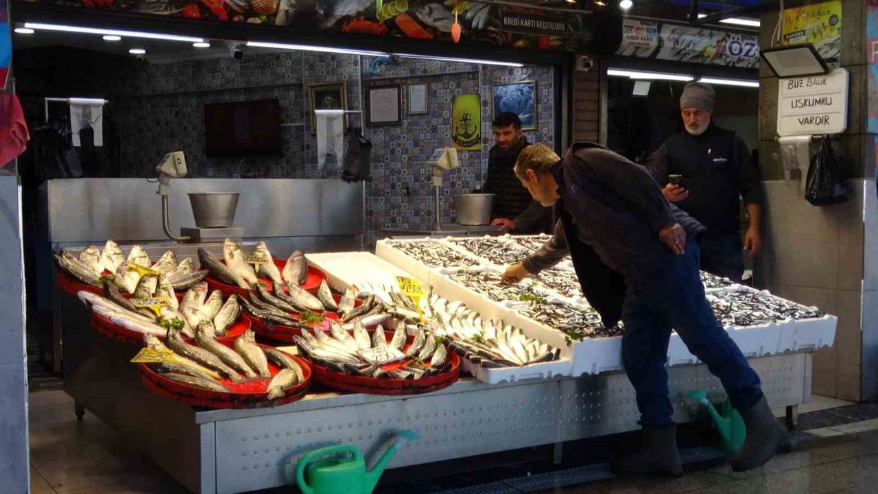 Palamut sezonu başlamadan bitti, umutlar seneye kaldı
