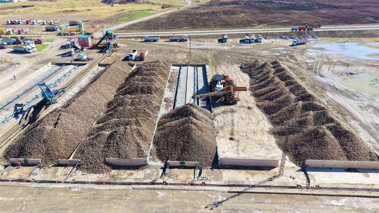 Muş Ovası’nda 1,7 milyar TL’lik tatlı yolculuk
