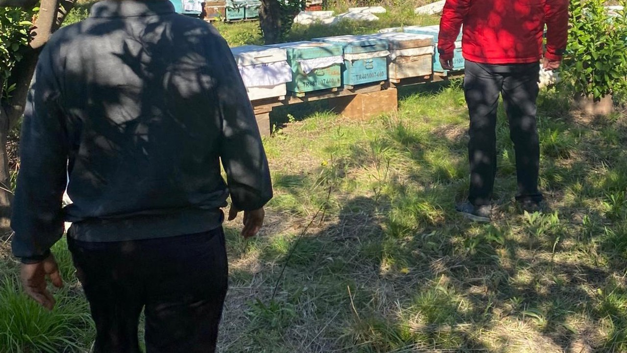Ortaca’da arılı kovan desteklemeleri devam ediyor
