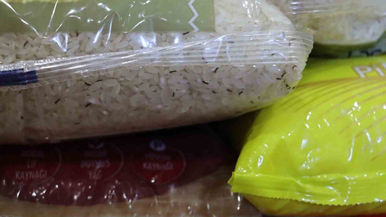 Şanlıurfa’da tarihi geçmiş ve kurtlanmış yüzlerce ürün ele geçirildi
