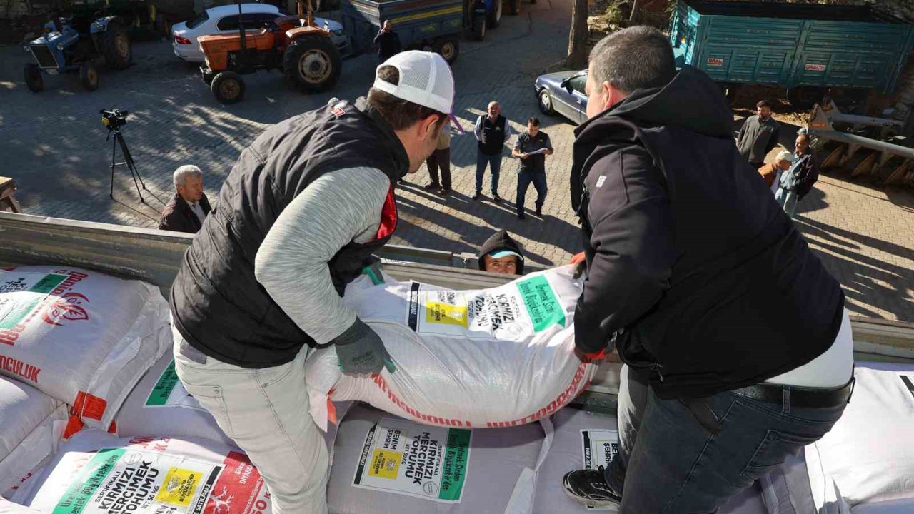 Konya Büyükşehir’den çiftçiye kuraklığa dayanıklı mercimek tohumu desteği
