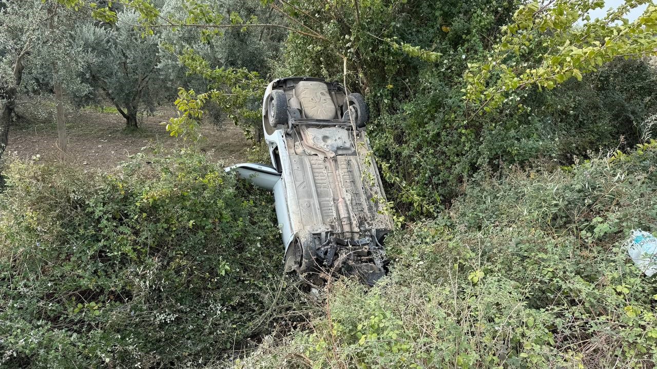 Sollama yaparken zeytinliğe uçtu

