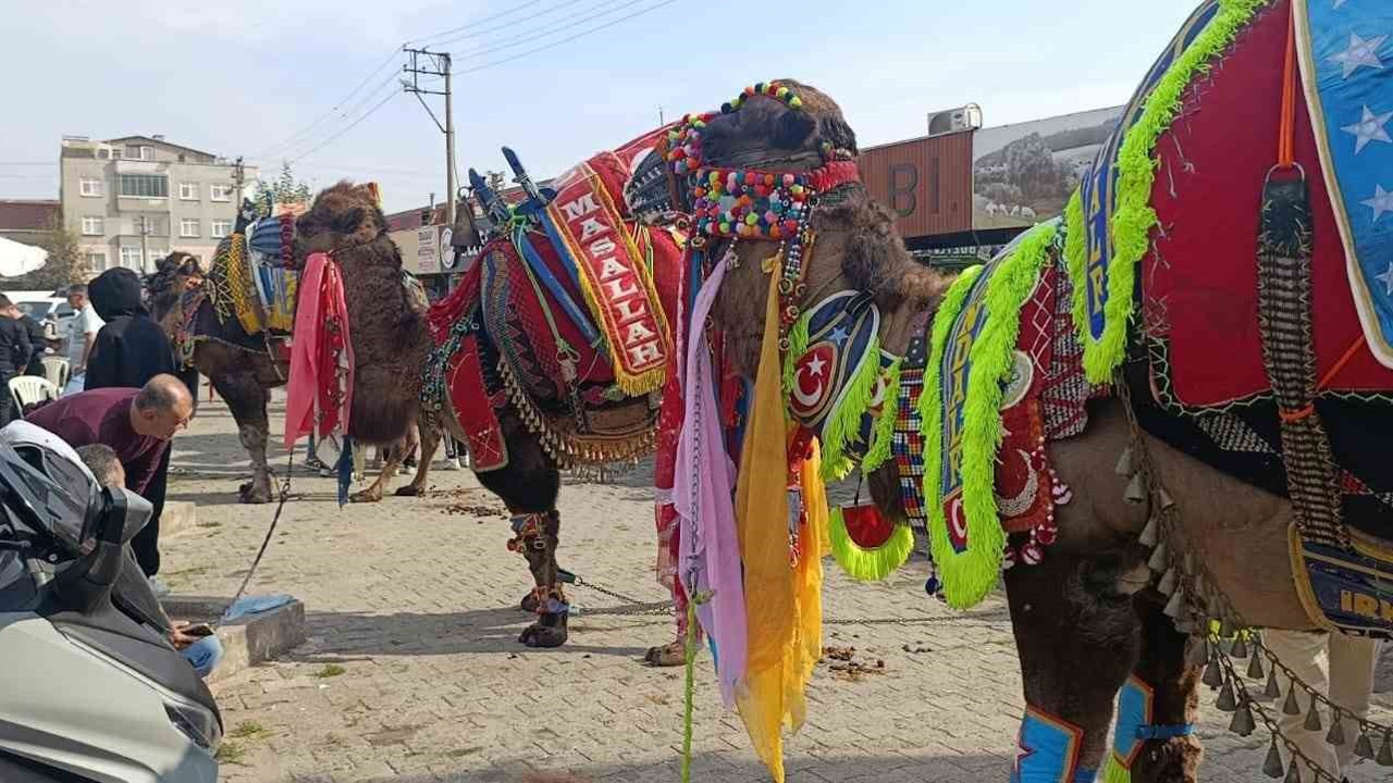 Çan’da havut giydirme hayrı düzenlendi
