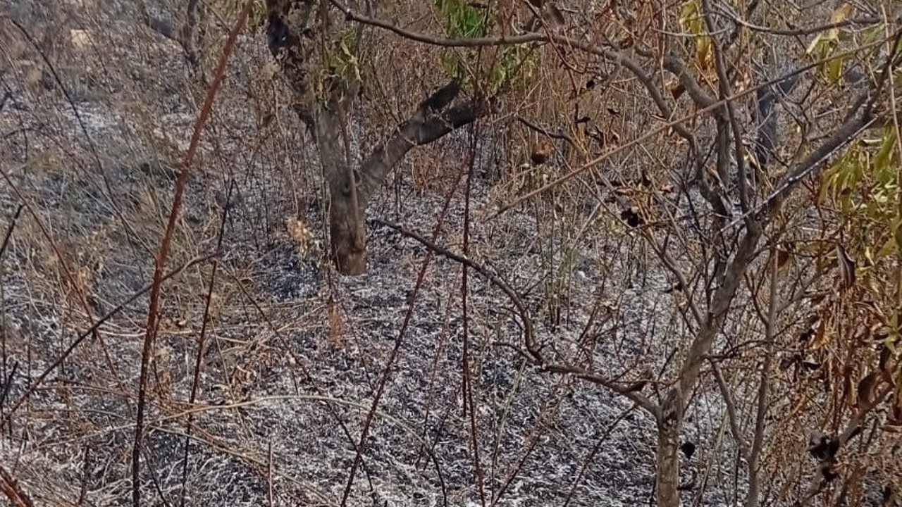 Yaşlı adam, bahçesini temizlerken yangında hayatını kaybetti
