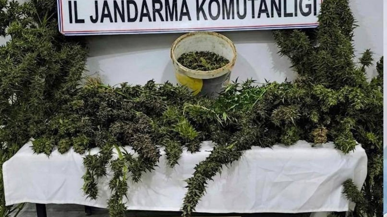 Mardin’de uyuşturucu operasyonunda 3 tutuklama
