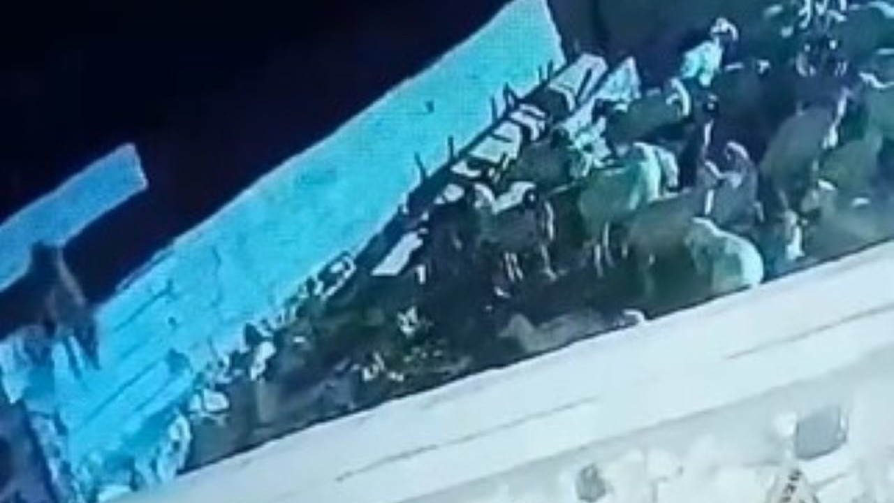 Ağıla giren kurt koyunu telef etti: O anlar kamerada
