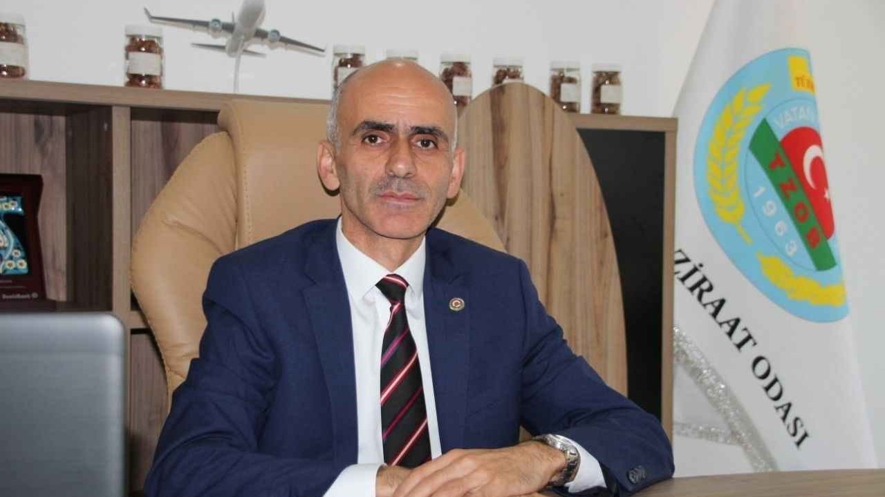 Giresun Ziraat Odası Başkanı Karan: "TMO ya fiyatlarını güncellesin ya da alımlarını sonlandırsın"
