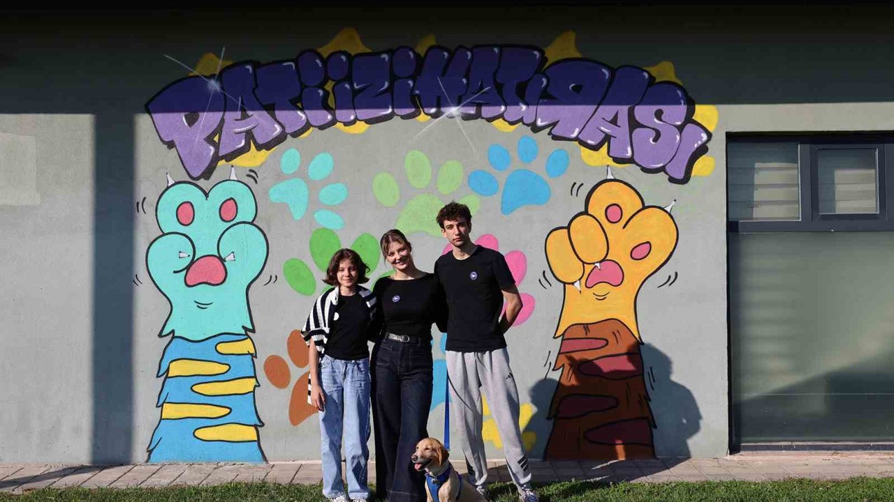 Sokaktan sıcacık yuvaya: ‘Pati İzi’nde 500 can dost yeni hayatına kavuştu
