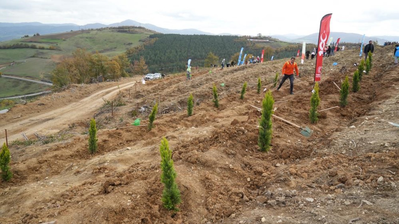 Samsun’da 11 Kasım Milli Ağaçlandırma Günü’nde 37 bin 380 fidan toprakla buluşacak
