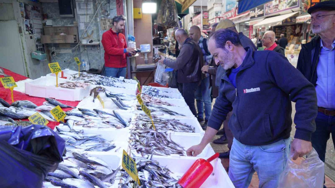 Tezgahlarda hamsi bolluğu
