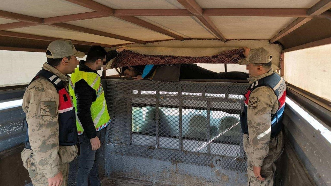 Bir ay içinde 28 düzensiz göçmen yakalandı
