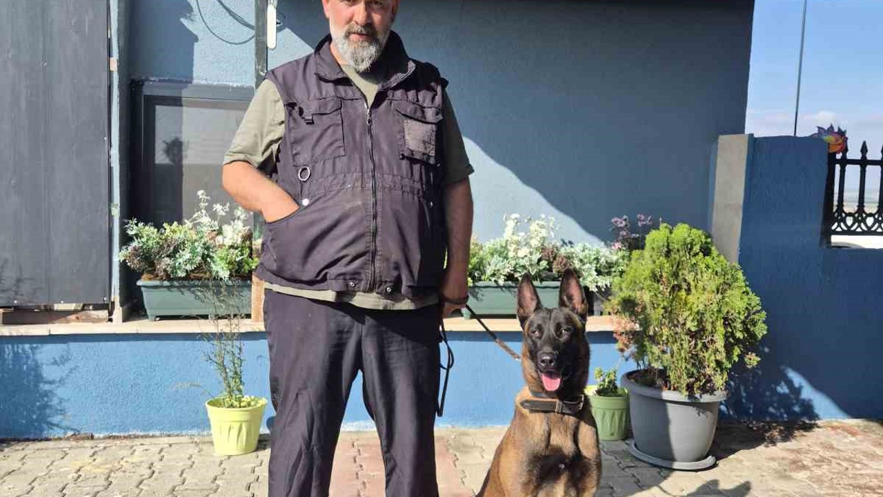 Köpek eğitmeni Eren Ay: "Köpekler kötü değildir, kötü eğitim vardır"

