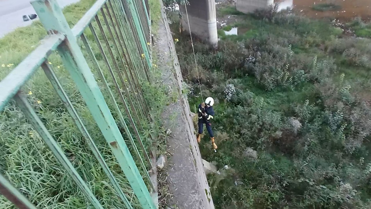 Filyos Çayı’na düşen yavru kedi kurtarıldı
