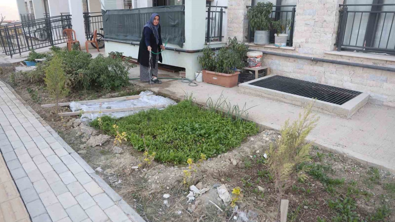 "Kadın eli değen her yer güzelleşir" sözü gerçek oldu: Depremzede kadın yeni yuvasının bahçesini ektiği sebzelerle güzelleştirdi
