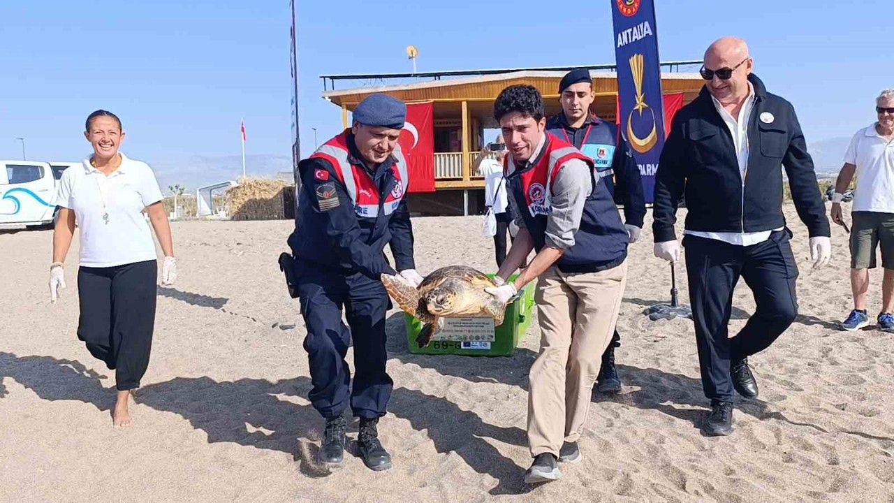 Tedavisi tamamlanan caretta caretta denizin maviliğine kulaç açtı
