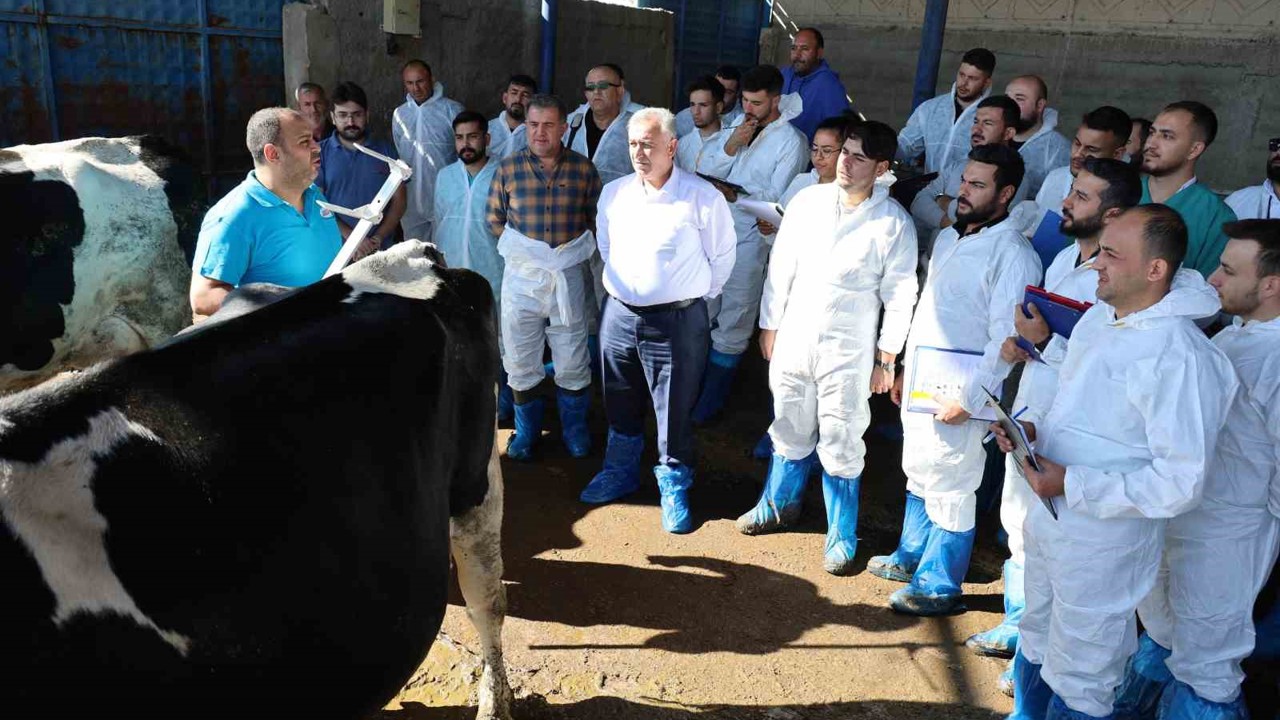 Aksaray’da 60 ilin personeline ineklerin başında uygulamalı eğitim
