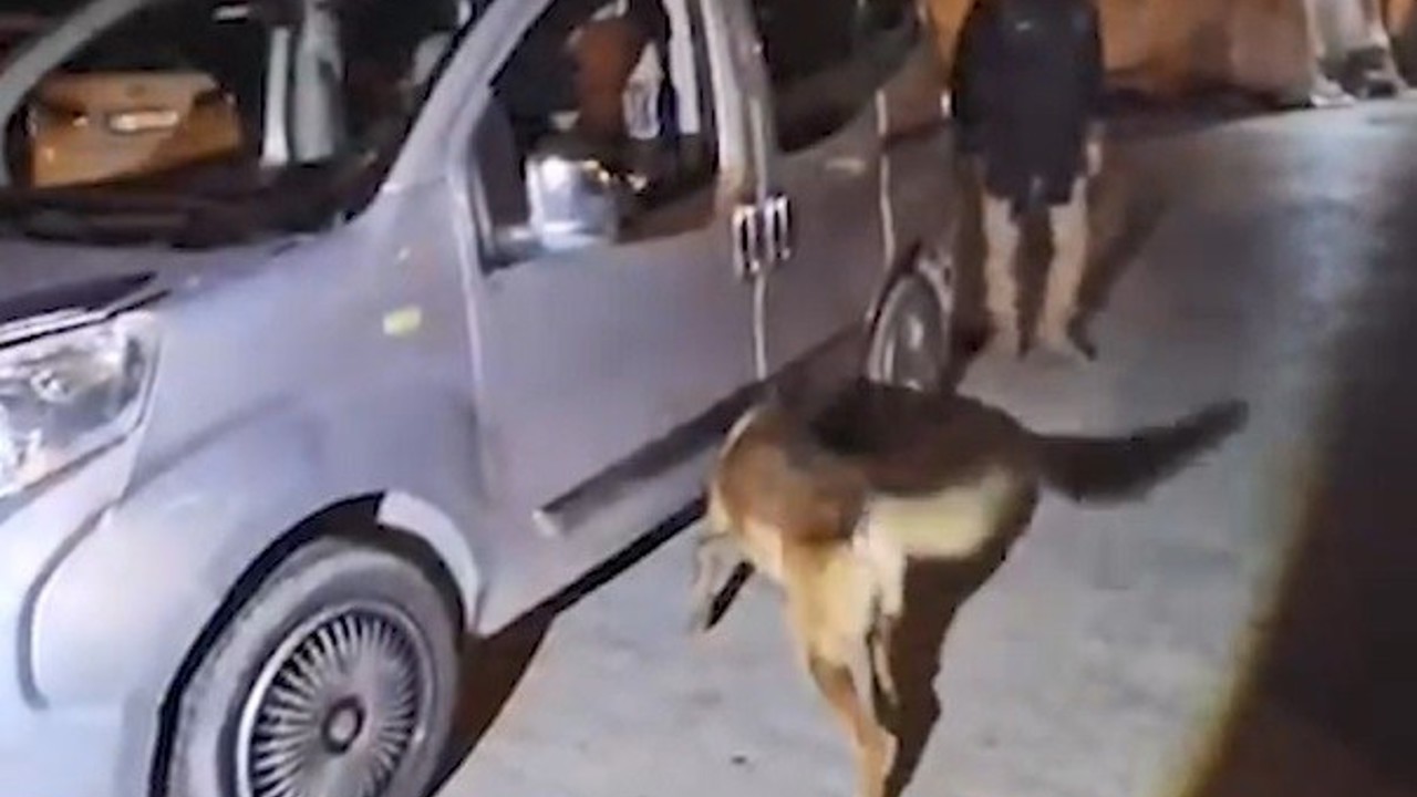 Bitlis’teki uyuşturucu operasyonunda 1 kişi tutuklandı
