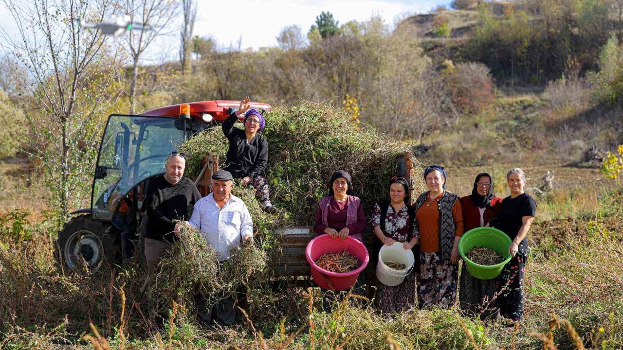 Üreticiden ihtiyaç sahiplerine uzanan dayanışma ağı
