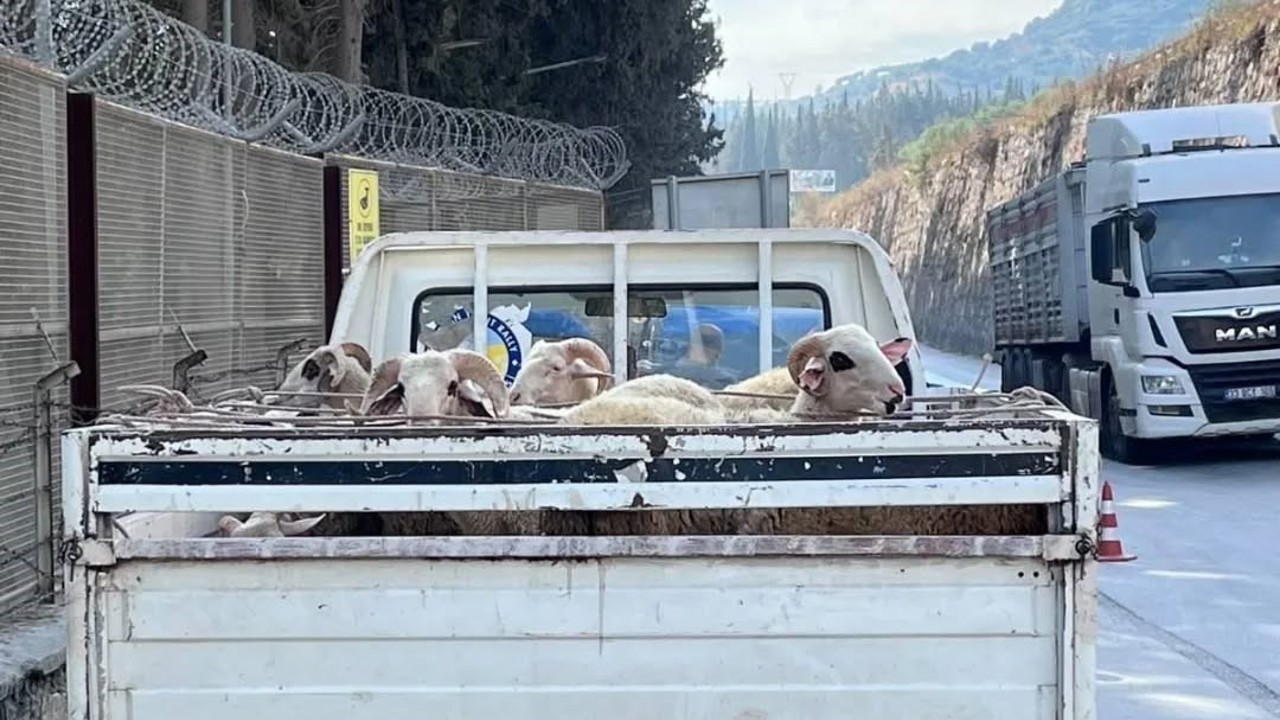 Hayvan hastalıkları ile mücadelede yol kontrolleri devam ediyor
