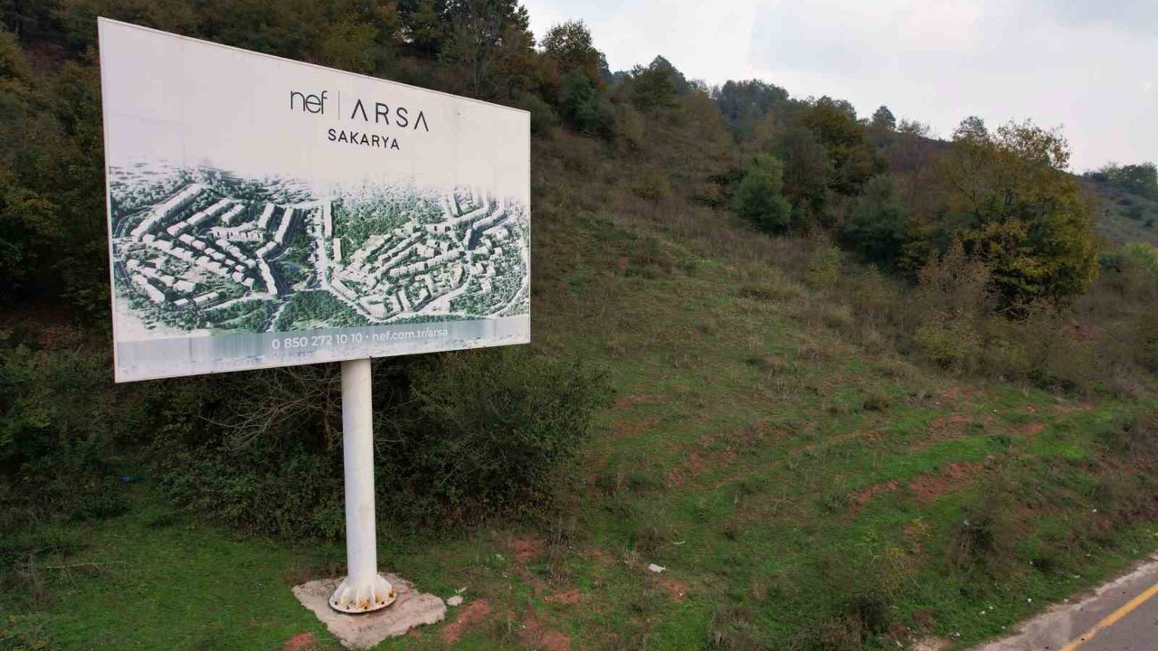 Ormana tabela asıp milyonlar topladılar
