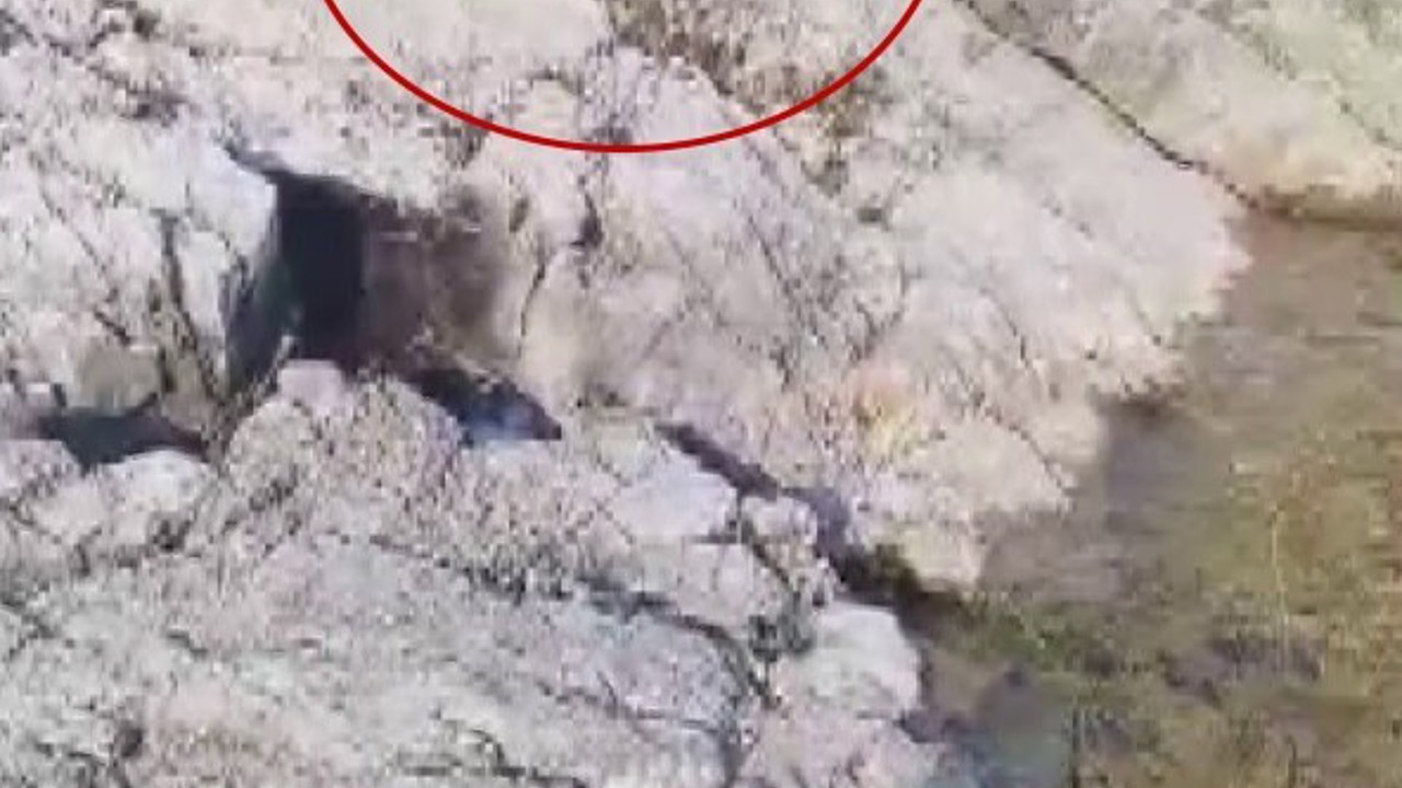 Malatya’da amatör balıkçı ile kedi arasındaki diyalog gülümsetti
