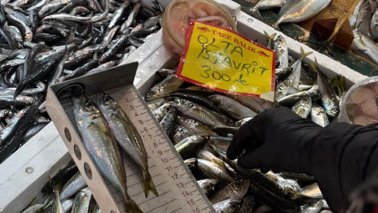 Tekirdağ’da balık tezgahlarına sıkı denetim: Boy ölçümleriyle sürdürülebilir avcılığa destek
