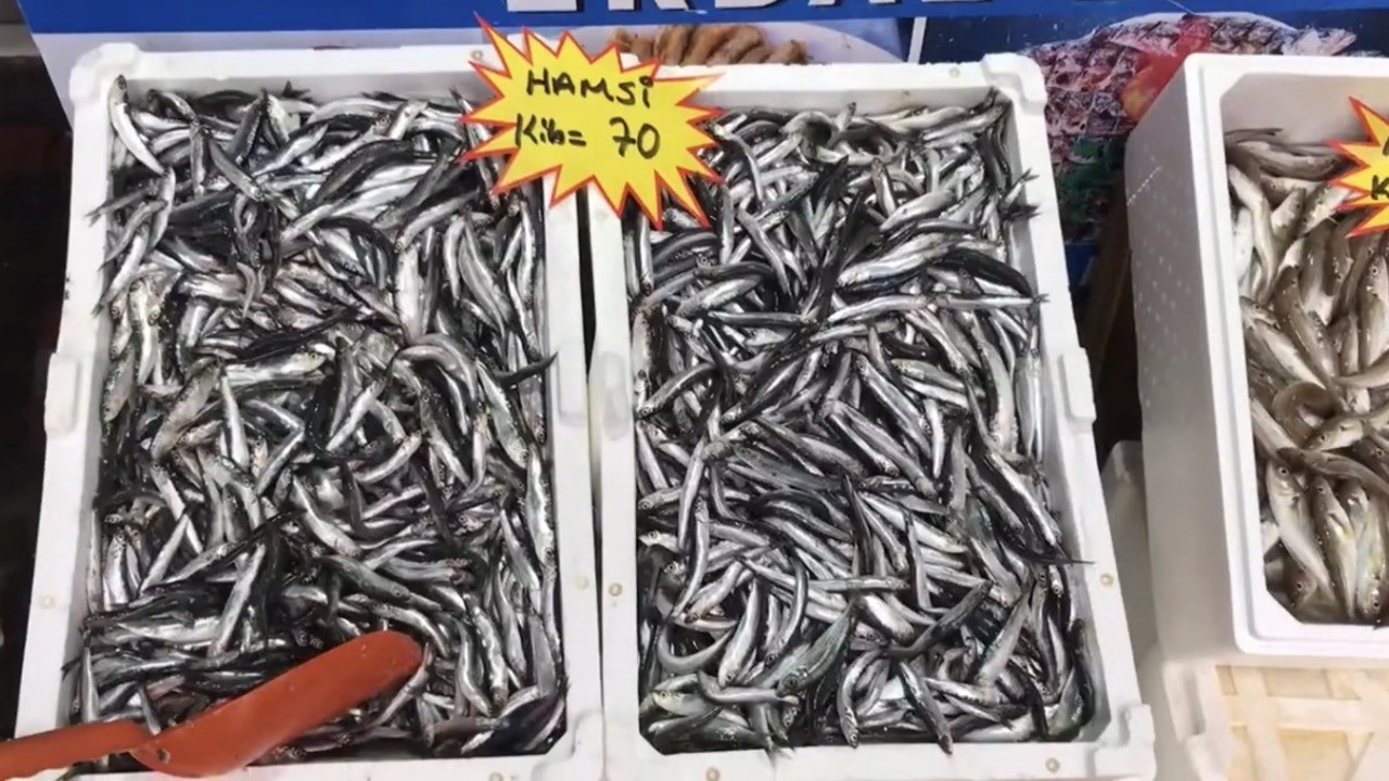 Akçakoca’dan balık tüketicilerine uyarı: "Buzhane balığına dikkat"
