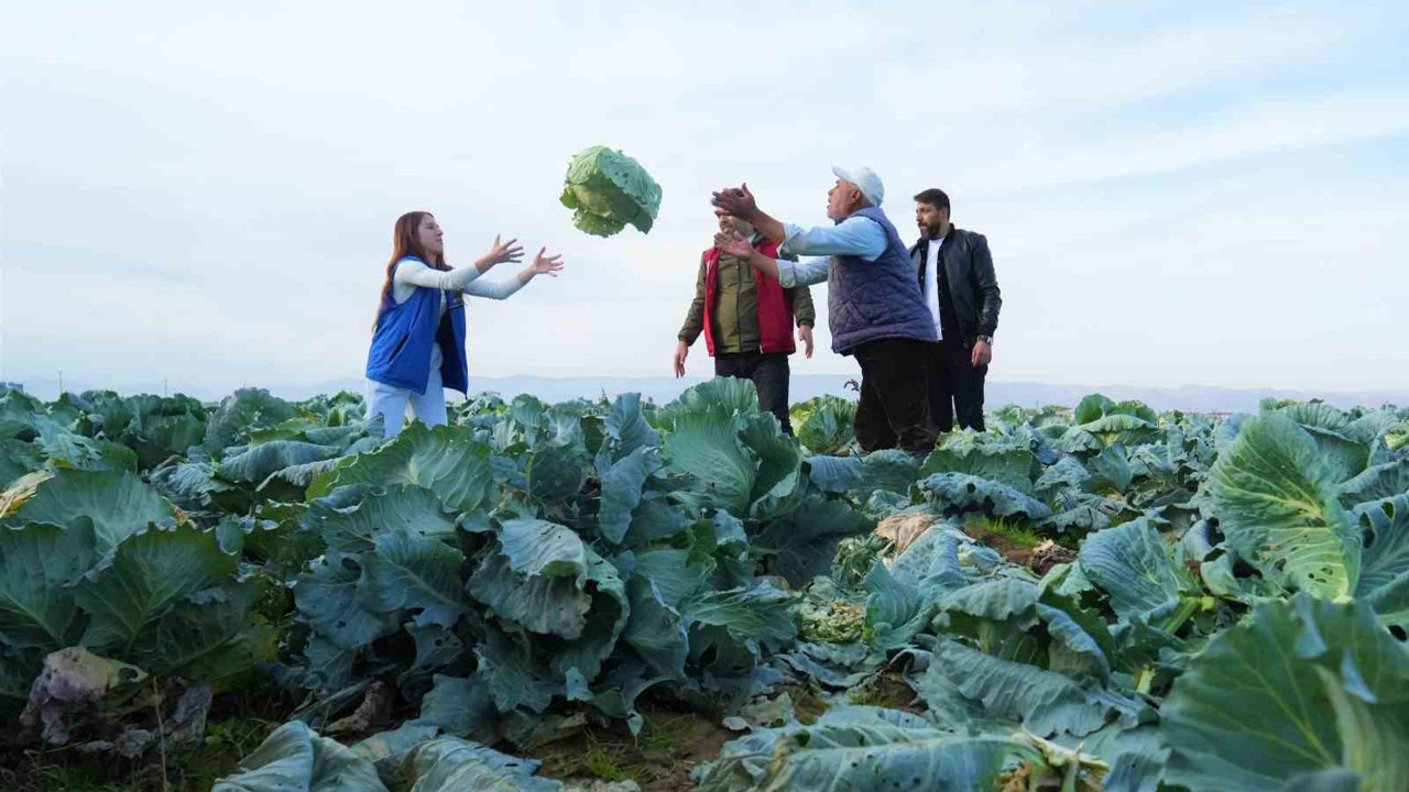 Muş Ovası’nda gönüllü gençlerden çiftçilere hasat desteği
