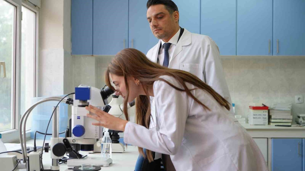 Kuraklığın ardından sinek istilası başladı
