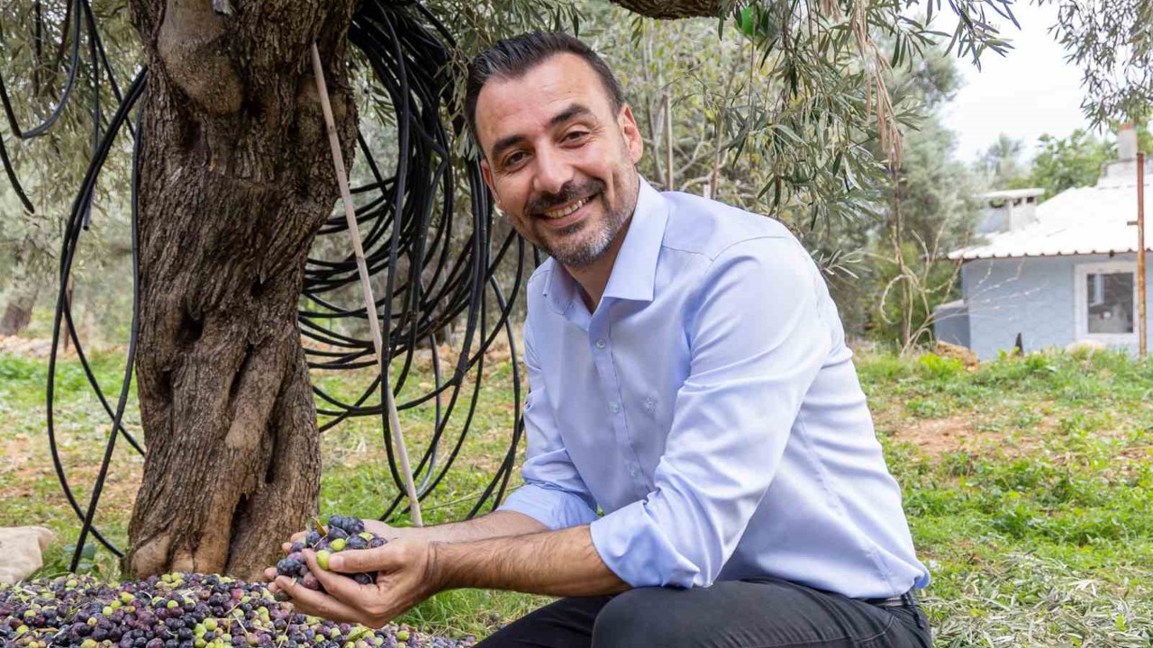 Manavgat Zeytin ve Zeytinyağı Festivali’nin ikincisi 8 Kasım’da başlıyor
