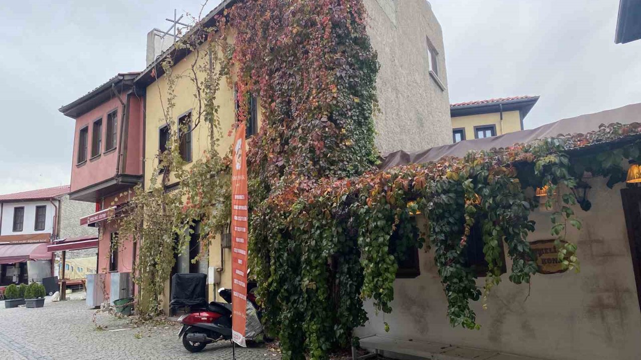 Bitkiler ile kaplanan tarihi yapı kartpostallık manzara oluşturuyor
